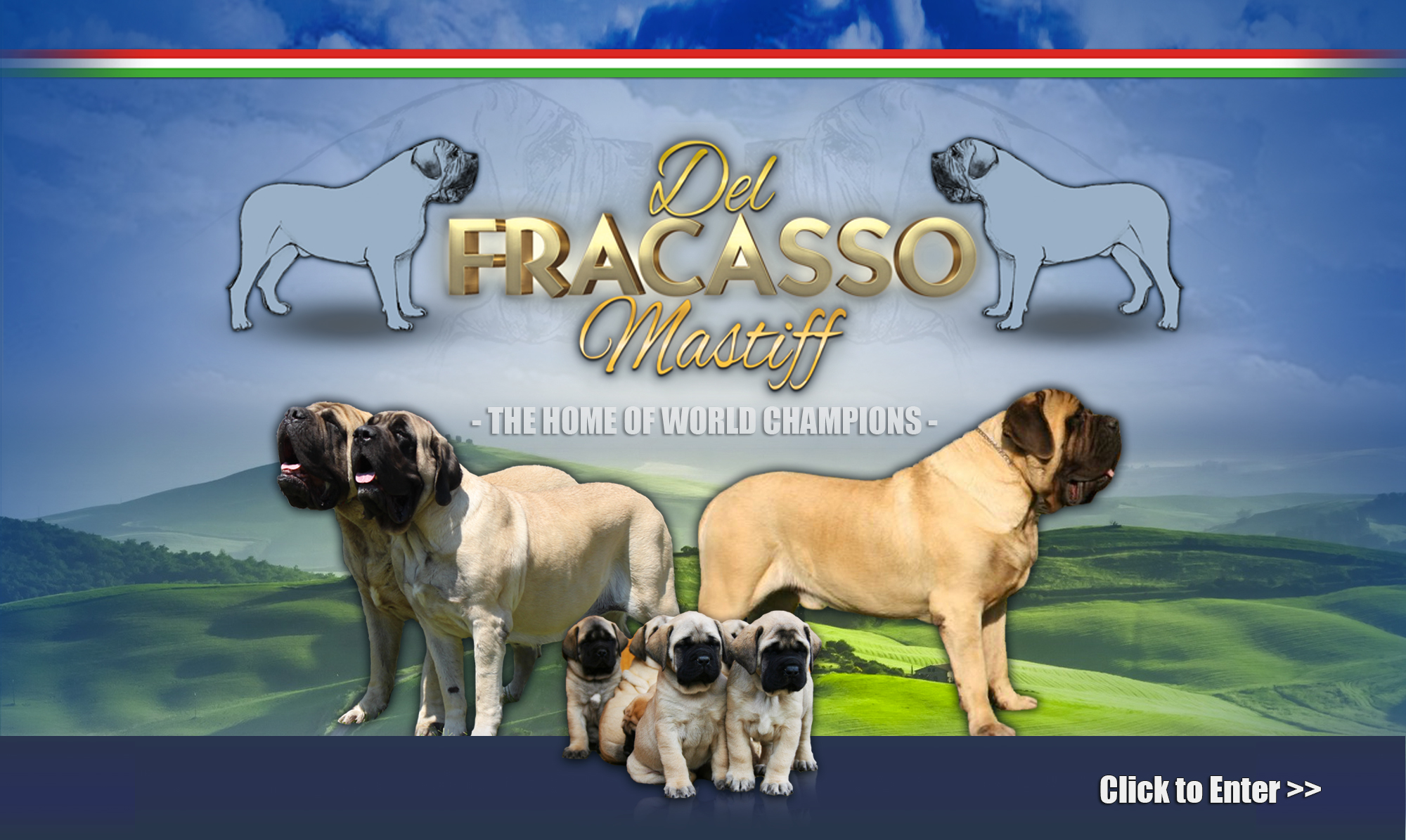 allevamento del fracasso cuccioli mastiff