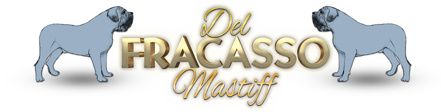 Mastiff del Fracasso